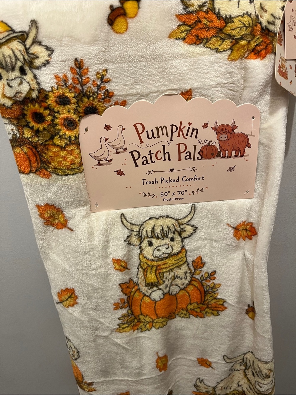 Highland Cows Pumpkin Patch Pals Blanket - New - 50x70